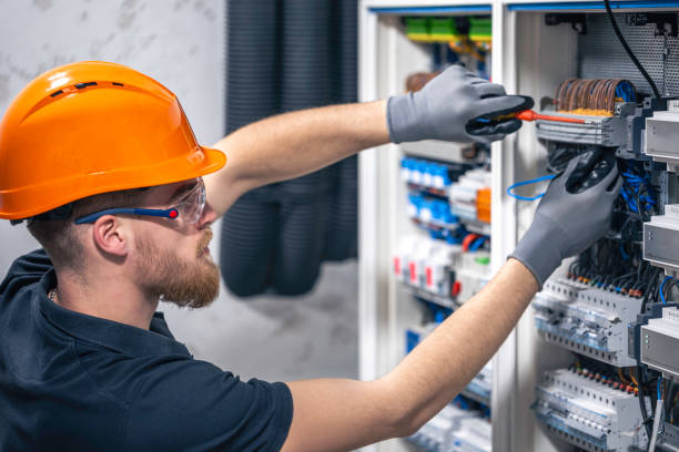 Best Electrical System Inspection  in Perry, GA