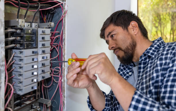 Best Electric Panel Repair  in Perry, GA